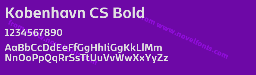Kobenhavn CS BoldPreview Kobenhavn CS BoldPreview