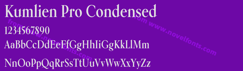Kumlien Pro CondensedPreview Kumlien Pro CondensedPreview