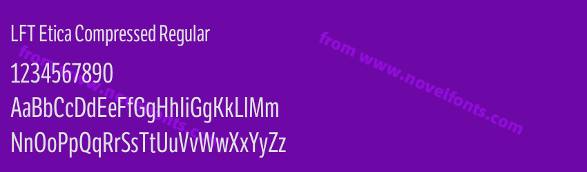 LFT Etica Compressed RegularPreview LFT Etica Compressed RegularPreview