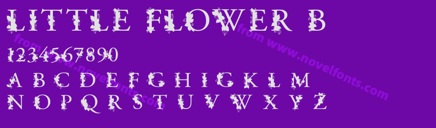 LITTLE_FLOWER BoldPreview LITTLE_FLOWER BoldPreview