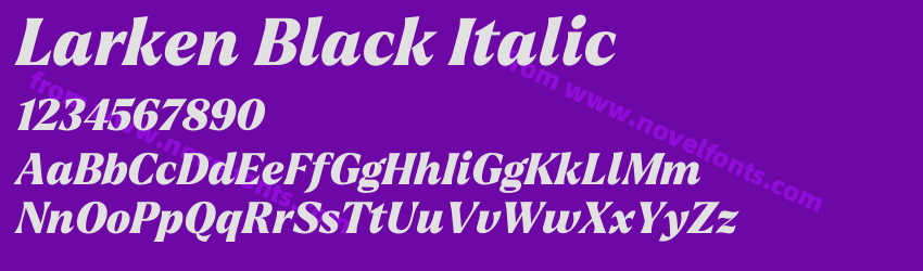 Larken Black ItalicPreview Larken Black ItalicPreview