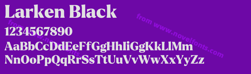 Larken BlackPreview Larken BlackPreview