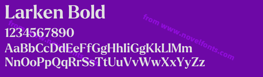 Larken BoldPreview Larken BoldPreview