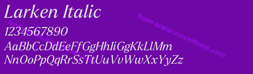 Larken ItalicPreview Larken ItalicPreview