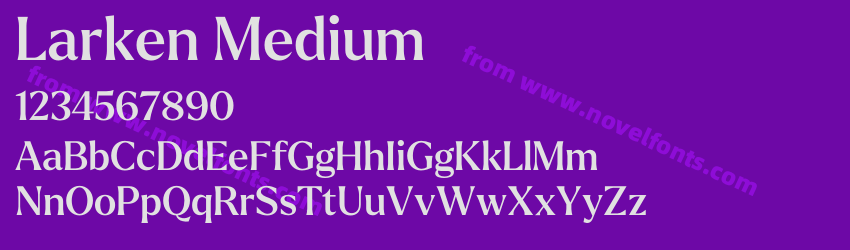 Larken MediumPreview Larken MediumPreview