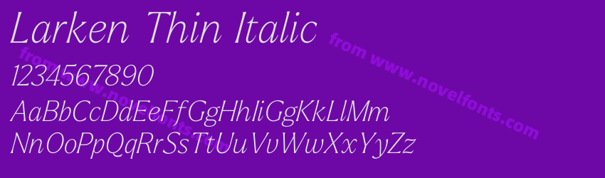 Larken Thin ItalicPreview Larken Thin ItalicPreview
