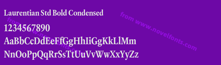 Laurentian Std Bold CondensedPreview Laurentian Std Bold CondensedPreview