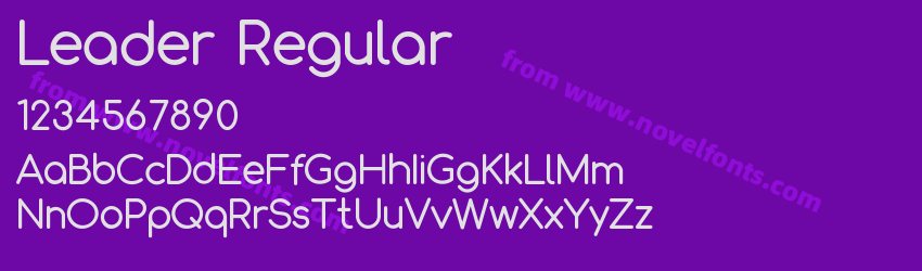 Leader RegularPreview Leader RegularPreview