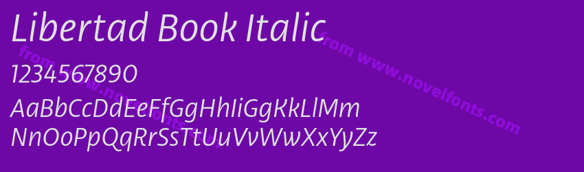 Libertad Book ItalicPreview Libertad Book ItalicPreview