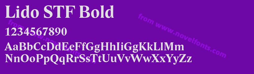 Lido STF BoldPreview Lido STF BoldPreview