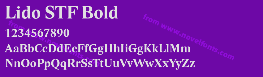 Lido STF BoldPreview Lido STF BoldPreview