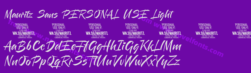 Mauritz Sans PERSONAL USE LightPreview