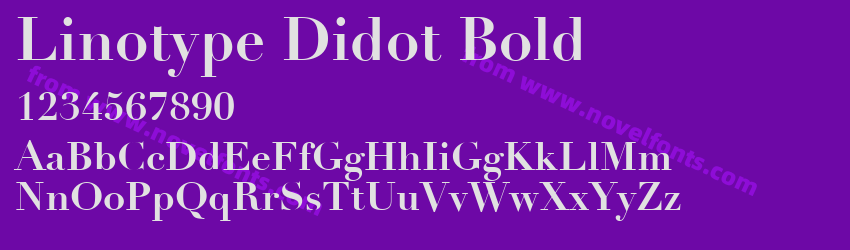 Linotype Didot BoldPreview Linotype Didot BoldPreview