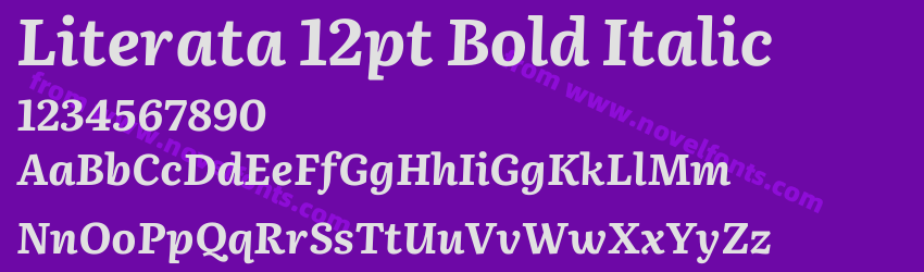 Literata 12pt Bold ItalicPreview Literata 12pt Bold ItalicPreview