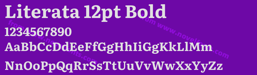 Literata 12pt BoldPreview Literata 12pt BoldPreview