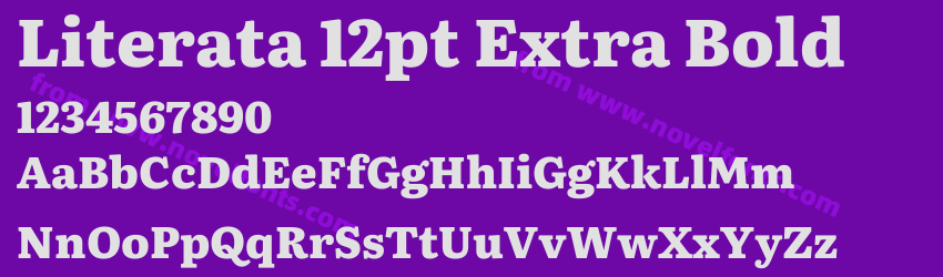 Literata 12pt Extra BoldPreview Literata 12pt Extra BoldPreview