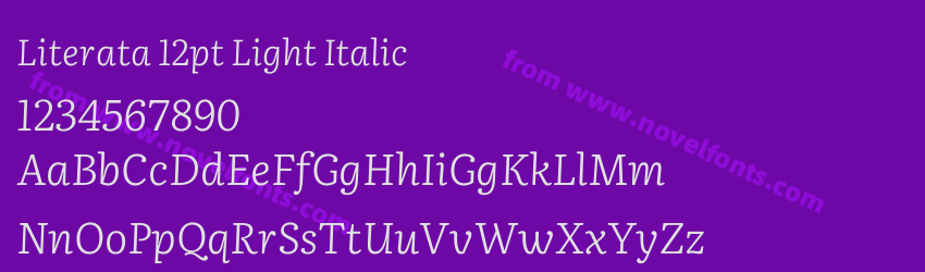Literata 12pt Light ItalicPreview Literata 12pt Light ItalicPreview