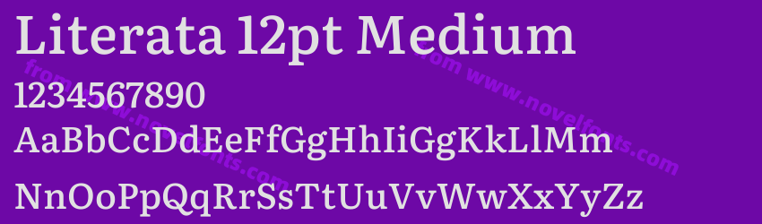 Literata 12pt MediumPreview Literata 12pt MediumPreview