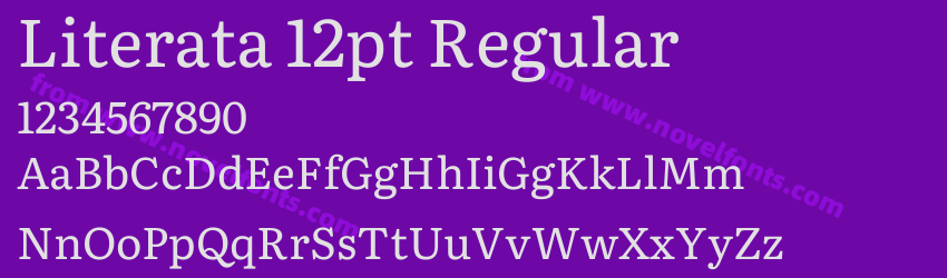 Literata 12pt RegularPreview Literata 12pt RegularPreview