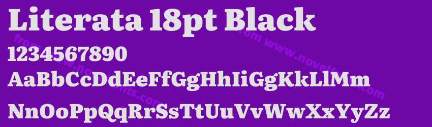 Literata 18pt BlackPreview Literata 18pt BlackPreview
