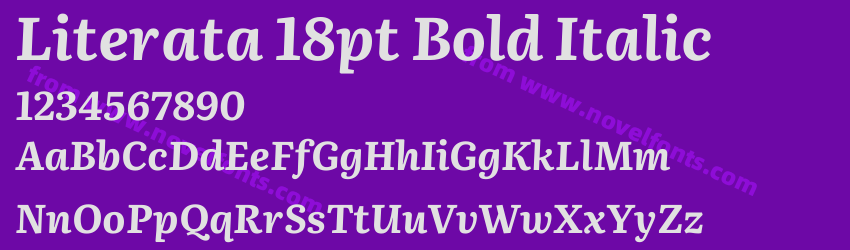 Literata 18pt Bold ItalicPreview Literata 18pt Bold ItalicPreview