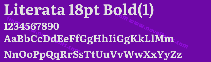 Literata 18pt Bold(1)Preview Literata 18pt Bold(1)Preview