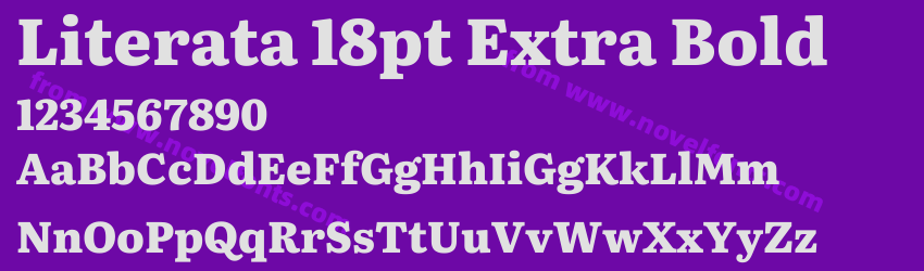 Literata 18pt Extra BoldPreview Literata 18pt Extra BoldPreview