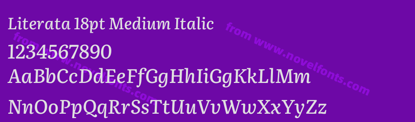 Literata 18pt Medium ItalicPreview Literata 18pt Medium ItalicPreview