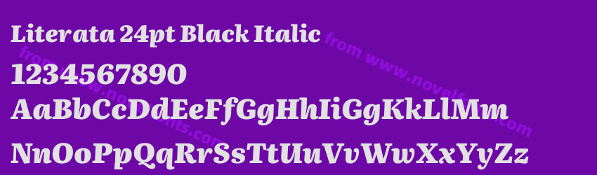 Literata 24pt Black ItalicPreview Literata 24pt Black ItalicPreview