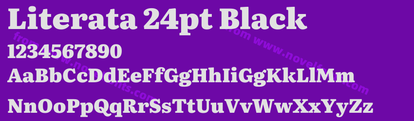 Literata 24pt BlackPreview Literata 24pt BlackPreview