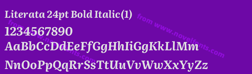 Literata 24pt Bold Italic(1)Preview Literata 24pt Bold Italic(1)Preview
