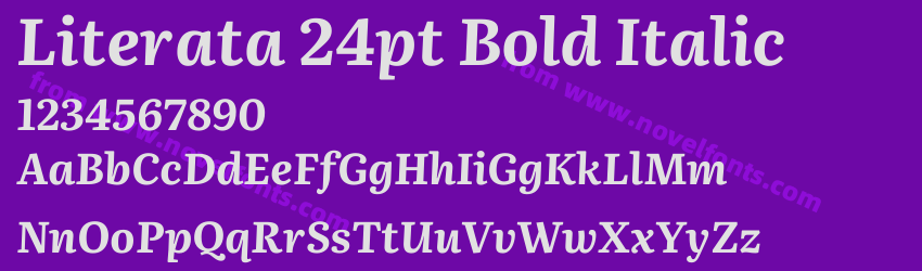 Literata 24pt Bold ItalicPreview Literata 24pt Bold ItalicPreview