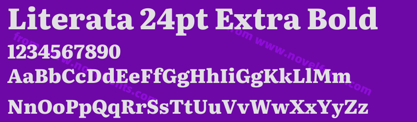 Literata 24pt Extra BoldPreview Literata 24pt Extra BoldPreview