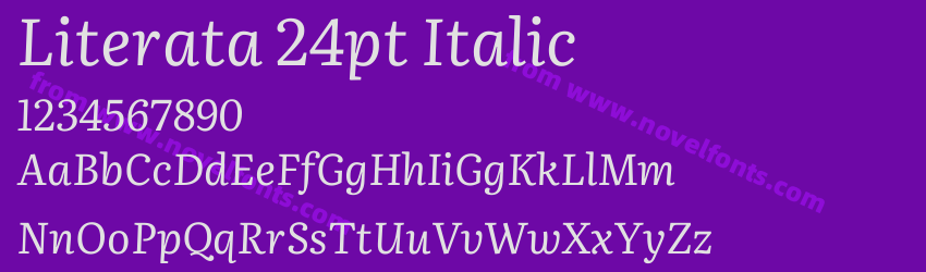 Literata 24pt ItalicPreview Literata 24pt ItalicPreview