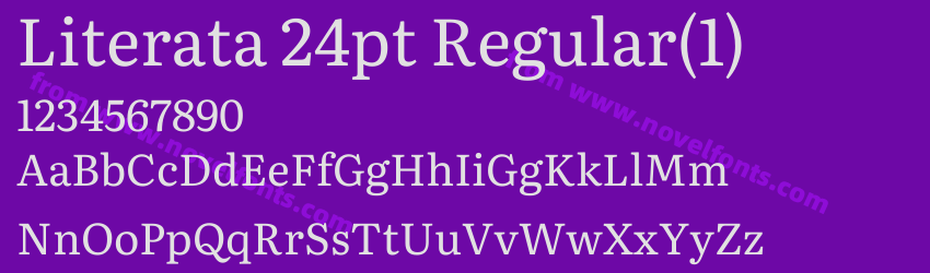 Literata 24pt Regular(1)Preview Literata 24pt Regular(1)Preview