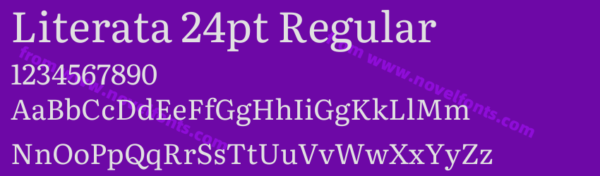 Literata 24pt RegularPreview Literata 24pt RegularPreview