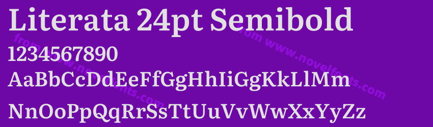 Literata 24pt SemiboldPreview Literata 24pt SemiboldPreview