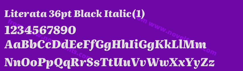 Literata 36pt Black Italic(1)Preview Literata 36pt Black Italic(1)Preview