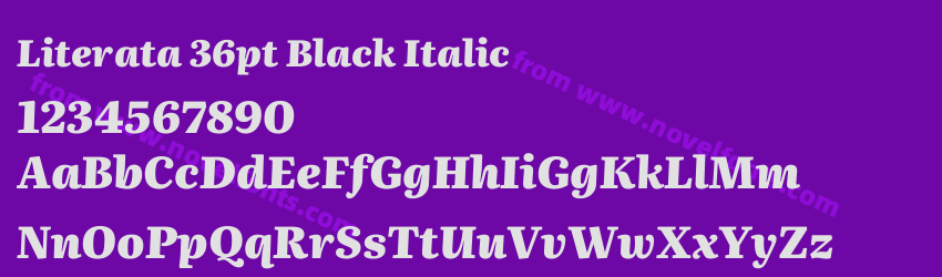 Literata 36pt Black ItalicPreview Literata 36pt Black ItalicPreview