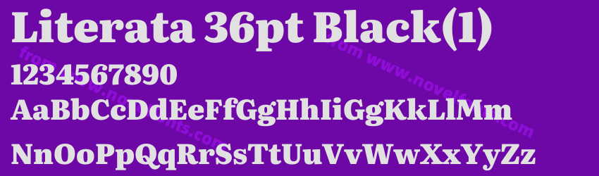 Literata 36pt Black(1)Preview Literata 36pt Black(1)Preview