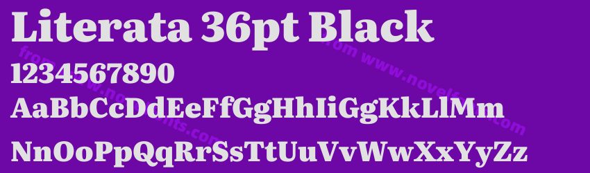Literata 36pt BlackPreview Literata 36pt BlackPreview