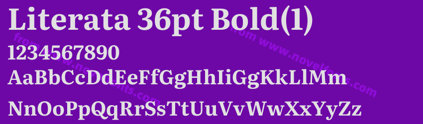 Literata 36pt Bold(1)Preview Literata 36pt Bold(1)Preview