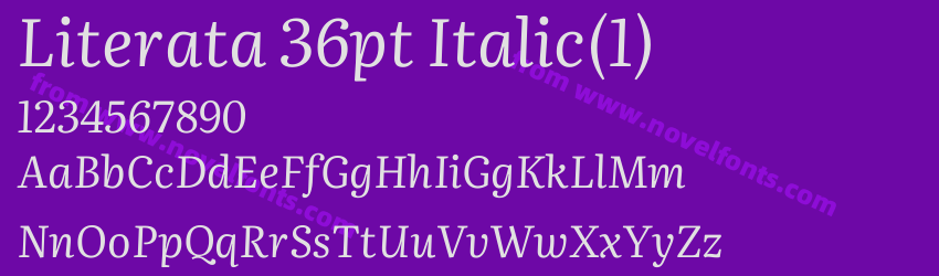 Literata 36pt Italic(1)Preview
