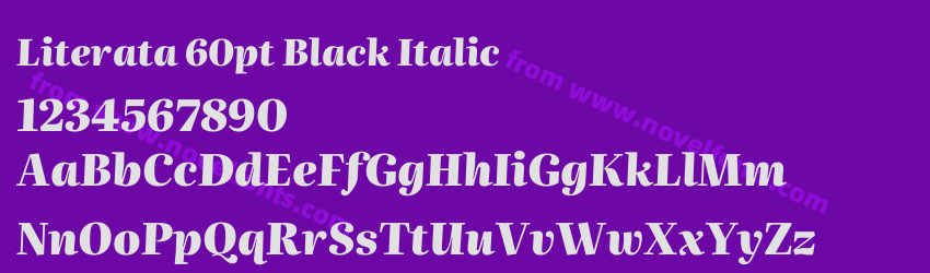 Literata 60pt Black ItalicPreview Literata 60pt Black ItalicPreview