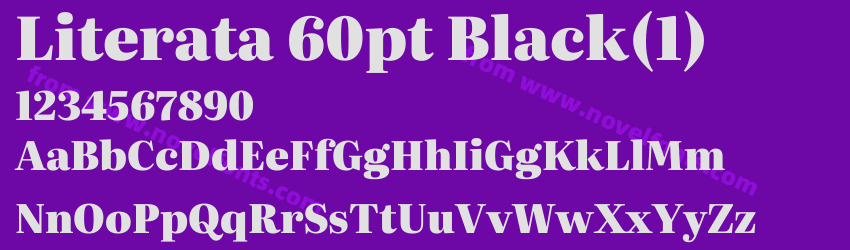 Literata 60pt Black(1)Preview Literata 60pt Black(1)Preview