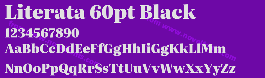 Literata 60pt BlackPreview Literata 60pt BlackPreview