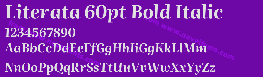 Literata 60pt Bold ItalicPreview Literata 60pt Bold ItalicPreview