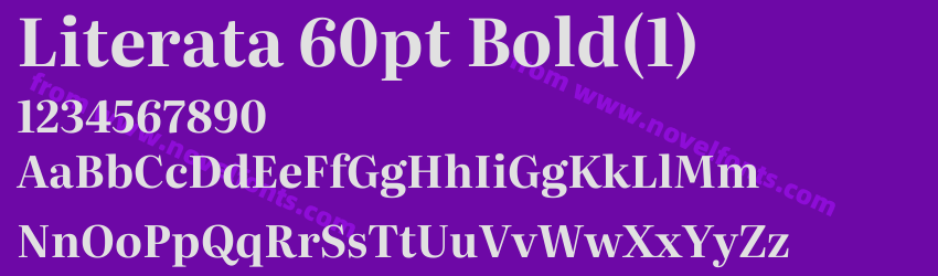 Literata 60pt Bold(1)Preview Literata 60pt Bold(1)Preview