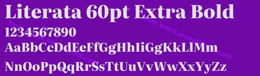Literata 60pt Extra BoldPreview Literata 60pt Extra BoldPreview