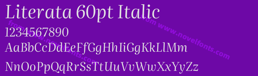 Literata 60pt ItalicPreview Literata 60pt ItalicPreview